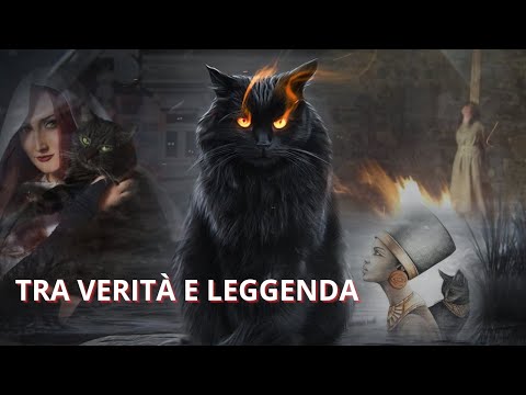 POTERI MAGICI DEI GATTI - CULTI RELIGIONE E MAGIA