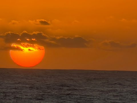 AIDAstella Südafrika & Namibia 20.01.-03.02.2026