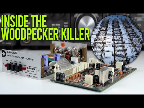 Im Inneren des russischen Kurzwellenspechtkillers