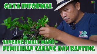 Download lagu 'PERIOR CARE' OF INFORMAL SANCENG MAME BONSAI 'Part 2' mp3
