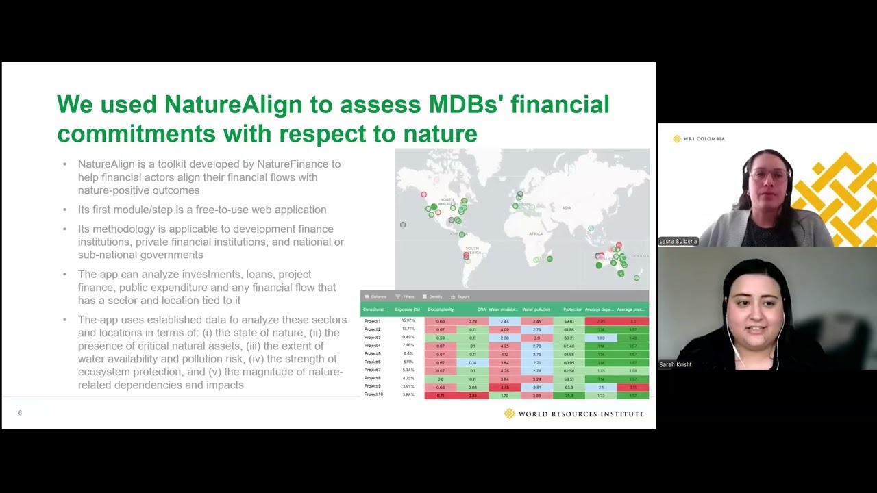 Mainstreaming Nature in Multilateral Development Banks