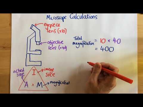 Microscope Calculations - p14