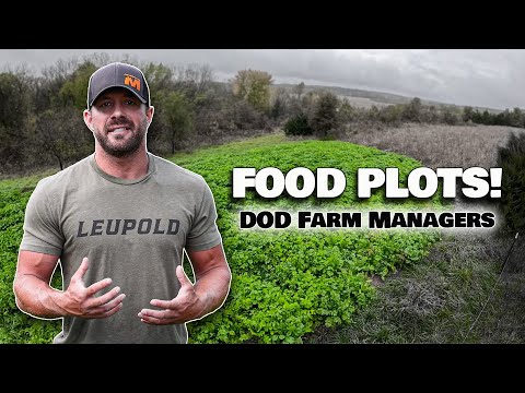Fall Food Plot Guide: What to Plant, When & How | Deer Season 25