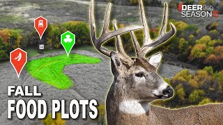 Fall Food Plot Guide: What to Plant, When & How | Deer Season 25