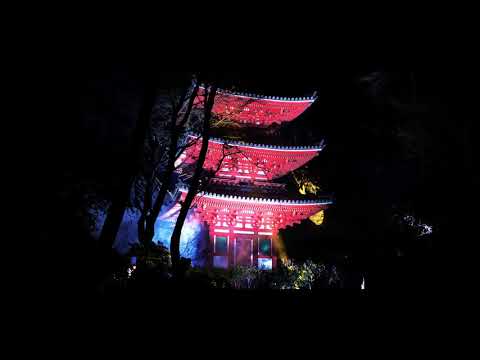 岩船寺ライトアップ