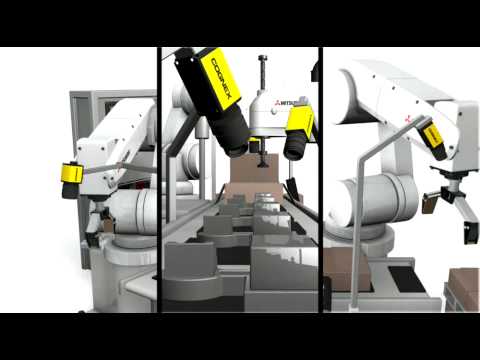 Articulated Robot