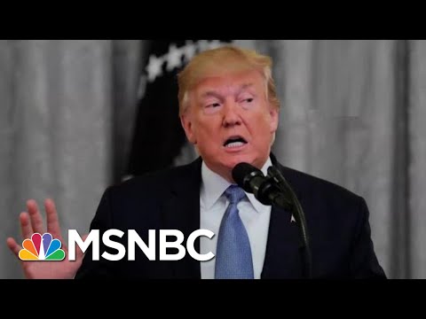 Which 2020 Democrat Is The Biggest Threat To Trump According To Latest Poll? | The 11th Hour | MSNBC Video