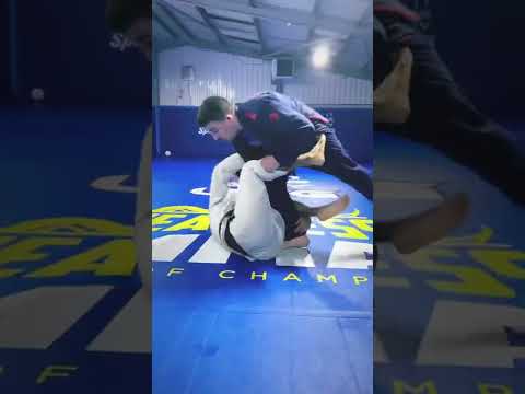 The Best Berimbolo Counter