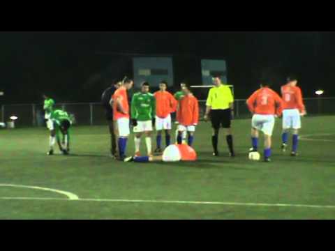 Samenvatting DVOV - SDZZ