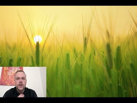 Saat, Ernte, Multiplikation