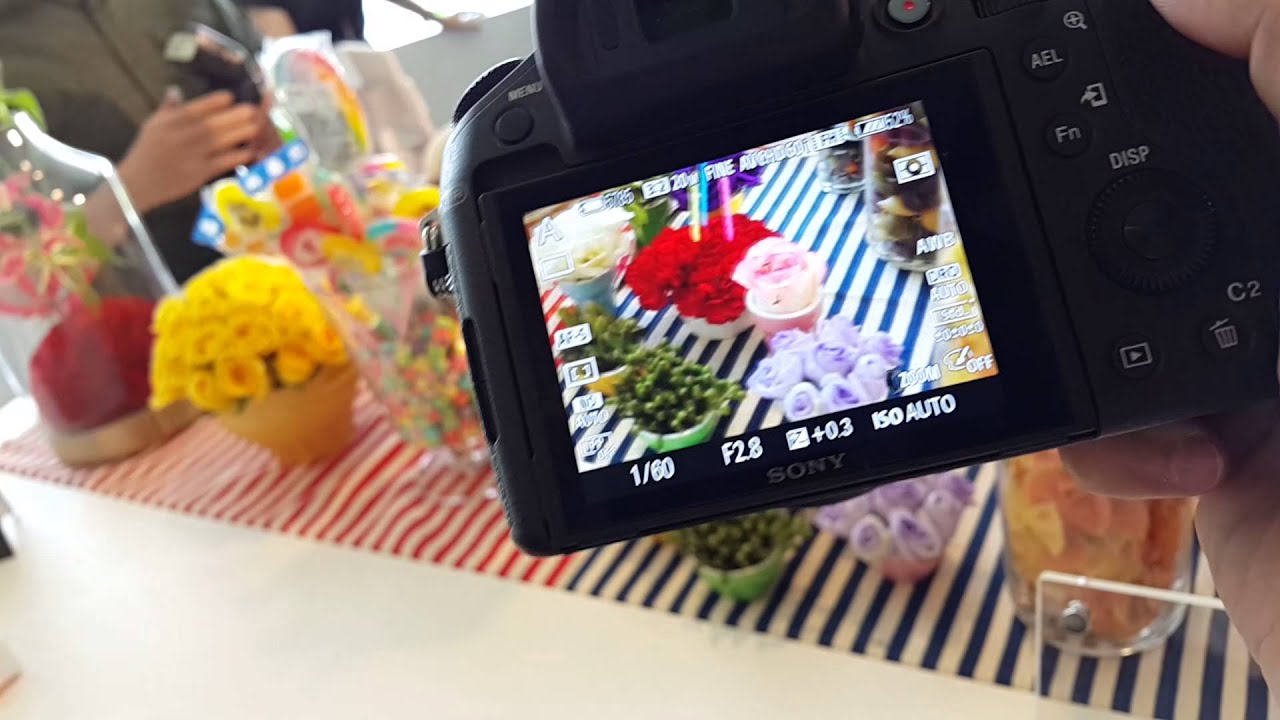 【Sony Cyber shot DSC RX10 II】自動對焦速度示範