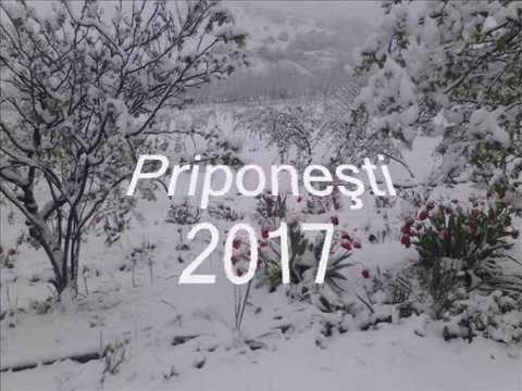 Priponesti 2017   episodul 2