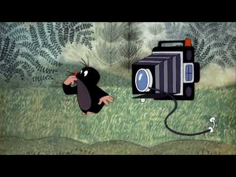 Der kleine Maulwurf - Der Maulwurf als Fotograf