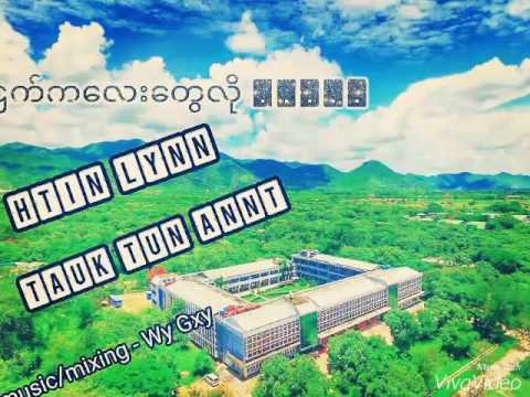 Htin Lynn   ငှက်ကလေးတွေလို