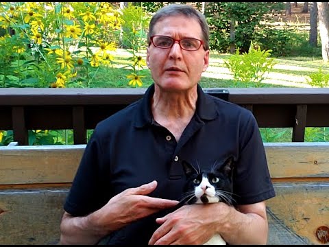 How to Learn a Language Fast?