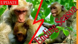 Bite Like Enemy !! Jane End Janna Nursing Directly Make Her Super Cry Anger