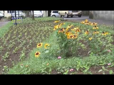 qalaqis iersaxeze zrunva