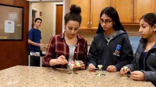 Shine a Little Light