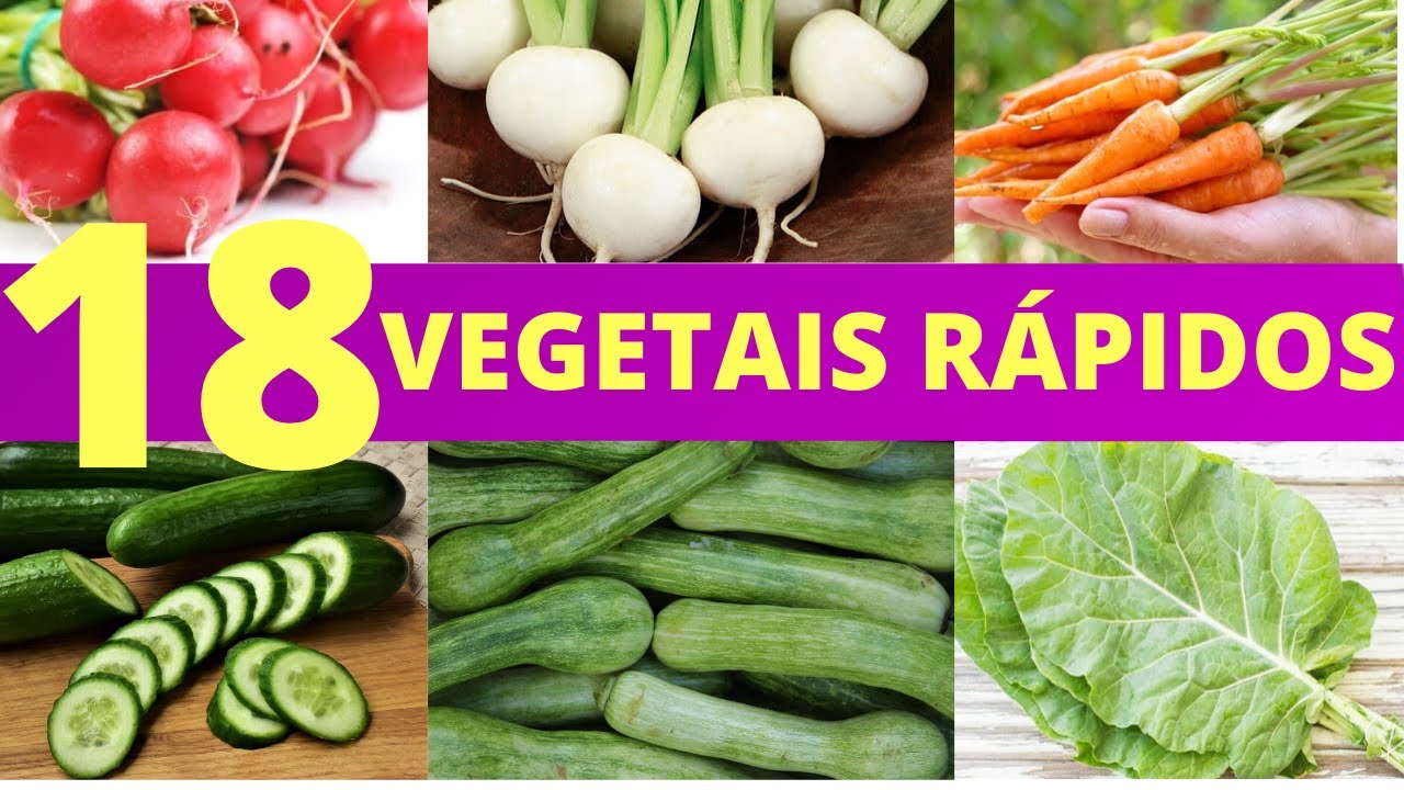 18 Vegetais pra você Plantar e Colher em 60 DIAS
