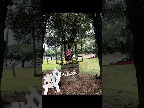 Cidades gaúchas Alto Feliz 47/497 #riograndedosul #turismonobrasil #cidadesbrasileiras #cidades