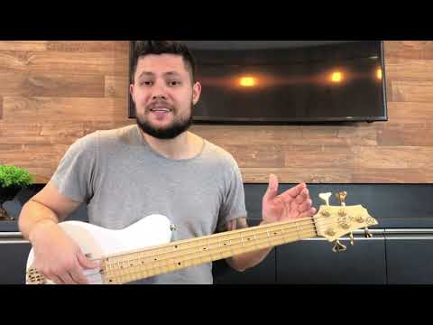 Review S.Martyn model Little bass 27'' scale, por Thiago Tonini