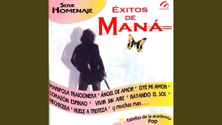 Te Llevaré Al Cielo