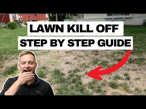 The Right Way to Kill Your Lawn & Start Over (Step by Step)