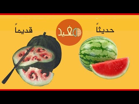 فواكهة وخضروات كانت مختلفة تماماً عن ما نعرفه اليوم !!