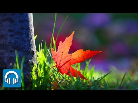 Jebel - Untitleds (feat. Giorgia Alò)