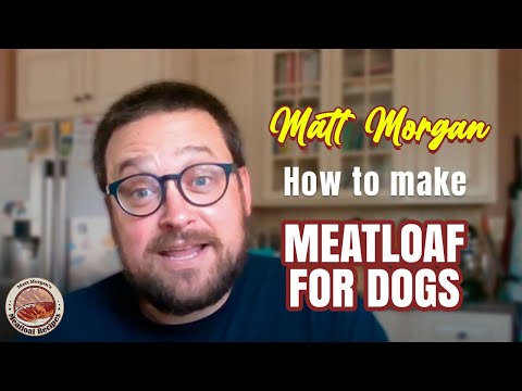 Learn how to make meatloaf for dogs
