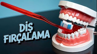 Diş Fırçalama Diş Fırçası Nasıl Kullanılmalı / Aykaçdiş Ortodonti İmplant Estetik Dr. Volkan AYKAÇ