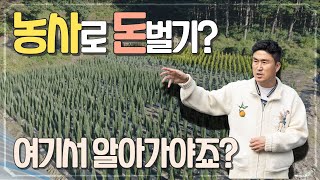 농사로 돈벌기 ! 미래지향적인 수종선택과 제대로 된 식재법 등. 여기서 제대로 알아가시면 됩니다. [JB가든…