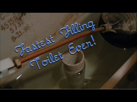 206- Fastest Filling Toilet Ever (Sterling Windham), WA