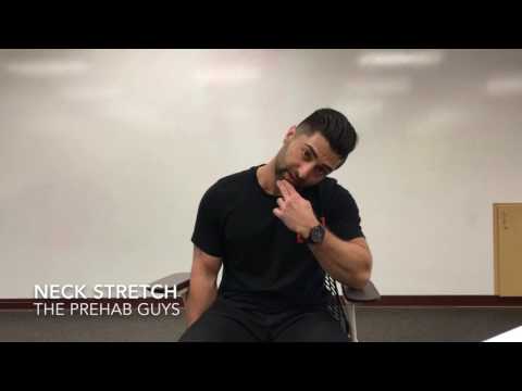 3 Neck Stretches: Levator Scapulae, Upper Trapezius, and Scalenes"