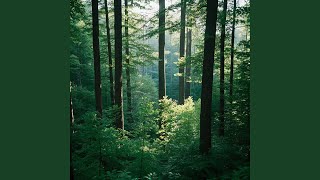 Download lagu Cinta Sederhana Saja mp3