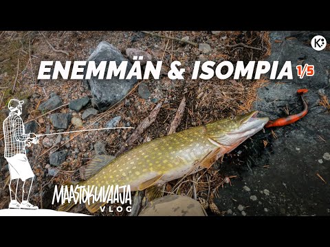 Kalastetaan HAUKEA RANNALTA & jutellaan kalastuksen nykymenosta