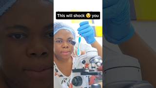 Download lagu Toothbrush under the microscope 🔬 #microscope #shortfeed #viral #shorts #fyp #Toothbrush mp3 Download lagu Toothbrush under the microscope 🔬 #microscope #shortfeed #viral #shorts #fyp #Toothbrush mp3