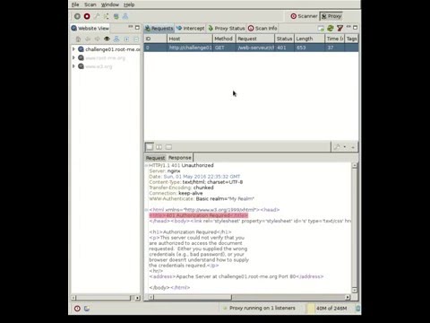 HTTP Verb Tampering with Subgraph Vega OWASP