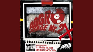 Aggro Teil 2