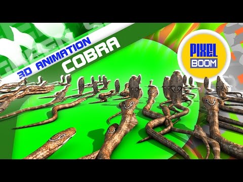 Green Screen Invasion of Cobra Snakes - Footage PixelBoom Video