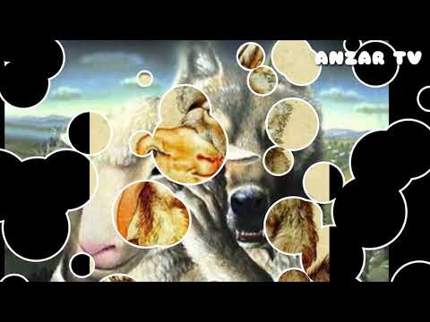 IZENZAREN- TILI ( audio).           تيلي-إزنزارن