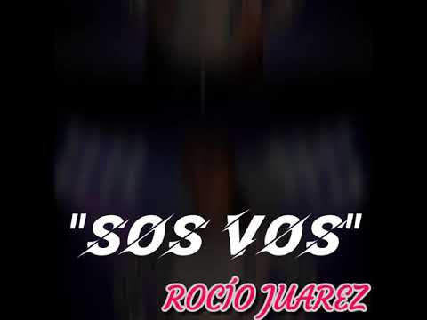 Lo nuevo de la artista local Rocío Juárez