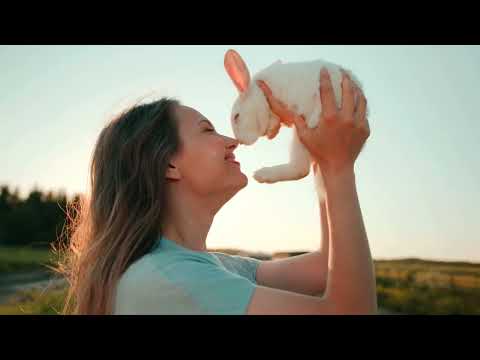 Fisun & Niki Four - My Destiny