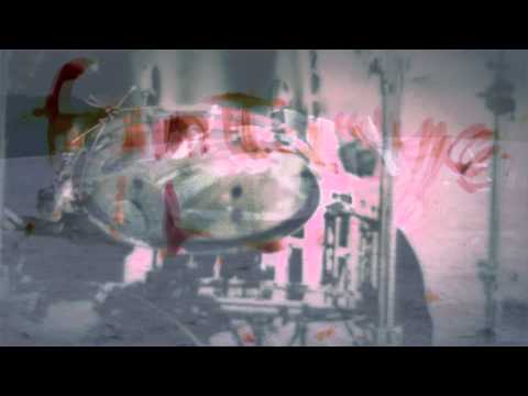 The Buddha Pests - Vanilla Spoon 2015 official video
