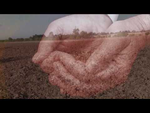 Modestyno - Nei vėjai pučia - Daina.LT 2015