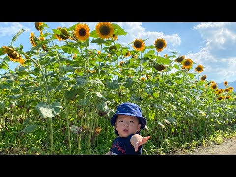 こども学科 【オフ動画】妻が急用で不在のため温泉＋夕飯。そして現在はすでに一緒に寝てます😁おやすみなさい。
