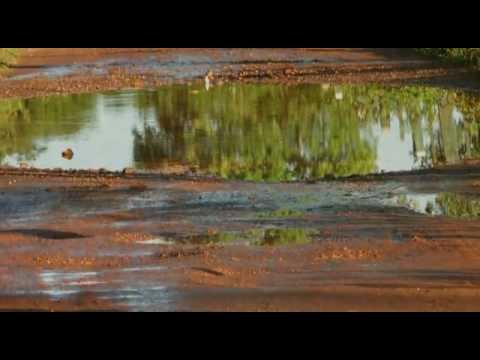 Jardim Da Natureza video