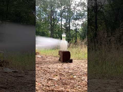 Federal .308 175gr Terminal Ascent (Is It Accurate?)