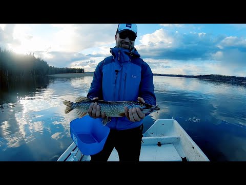 Harri Kalassa - Jakso 11 - Mertsarit Vesijärvellä