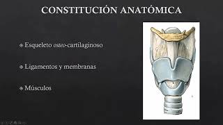 Faringe y sus relaciones - Laringe - Anatomía